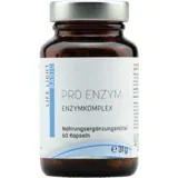 Pro Enzim