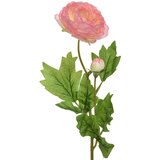  Cvet Ranunculus H57cm roze | ePonuda.com