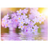  Tapeta - Violet Petals In Bloom 200x140 | shoptok.hr