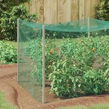 vidaXL Mreža za zaštitu ptica Zelena 2 x 10 m HDPE | shoptok.hr