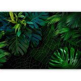 Artgeist Fototapeta Tropical, Zelena | Shoptok.si