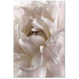  Slika - Fluffy Distraction (1 Part) Vertical 40x60 | shoptok.hr