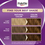Schwarzkopf Palette Intensive Color Creme permanentna barva za lase odtenek 6-65 (W5) Nougat 1 kos | Shoptok.si