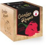 Feel Green ecocube "Carolina Reaper" Cene