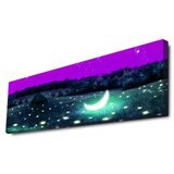 WALLXPERT Dekorativno LED osvetljeno platno sa slikanjem 3090PMDACT 003 | Eponuda.com