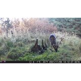 OXE Lovska kamera Gepard II in sončna plošča + 32GB kartica SD in 4 baterije! | Shoptok.si