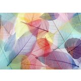  CT-5260 multicolor bathmat set (2 pieces) | Eponuda.com