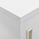  Ormarići s ključem 2 kom svjetlosivi 90 x 45 x 92,5 cm čelični | shoptok.hr