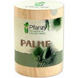 Feel Green Pflanzy "Palma" Cene