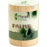 Feel Green Pflanzy "Palma"