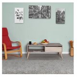 Hanah home Club sto Shp-655-Tt-1, 110x42x65 cm, Siva | Eponuda.ba