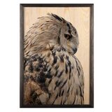 Wallity slika owl, 35 x 50 cm | ePonuda.com