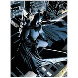 DC Comics Stakleni poster Batman, 30 x 40 cm Cijene