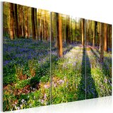  Slika - Spring Forest 120x80 Cijene