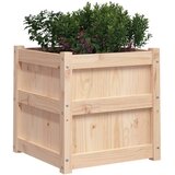 Vrtna sadilica 50 x 50 x 50 cm od masivne borovine | Eponuda.com