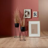 Modern Living Umetna Rastlina Zyperngras | Shoptok.si