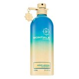 Montale Aoud Lagoon parfumirana voda unisex 100 ml | Shoptok.si