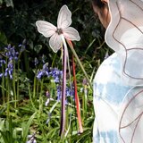 REX International Igrača Wand – Fairies in the Garden – | Shoptok.si