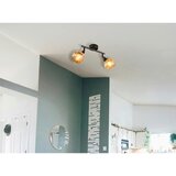 Globo REFLEKTOR FROSTA 25/9,8/19 cm | Shoptok.si
