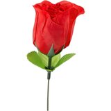 Out of the blue panty rose - tangice v roza barvi - rdeče (s-l) cene