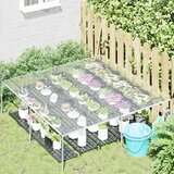  Pokrov za biljke *Transparent*an 2 x 2 m PVC | shoptok.hr