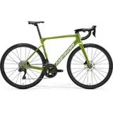SCULTURA 6000 FALL GREEN cestovni bicikl (MY25) - M