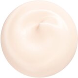 Shiseido Essential Energy Hydrating Day Cream dnevna hidratantna krema SPF 20 50 ml | shoptok.hr