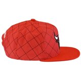 Mitchell And Ness Nba Quilted Taslan Snapback Chicago Bulls Crvena | shoptok.hr