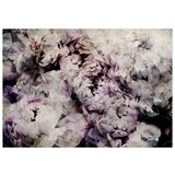  Samoljepljiva foto tapeta - Home Flowerbed 245x175 | shoptok.hr