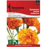  Kadifa visoka mix (070590) | ePonuda.com