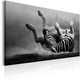  Slika - Fun in the Dust 120x80 Cijene