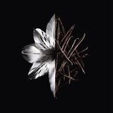 Givenchy L´Interdit Intense parfumska voda 80 ml za ženske | Shoptok.si