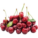 DELTA AGRAR DOO BEOGRAD Tresnja 500g Cene