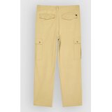 Quiksilver Cargo Pants grape leaf | Shoptok.si