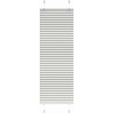 vidaXL Plisirana žaluzija svetlo siva 50x100 cm Širina tkanine 49,4 cm | Shoptok.si
