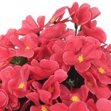  Božična cvetlična girlanda 3 kosi rožnata 85 cm, (21415666) | Shoptok.si