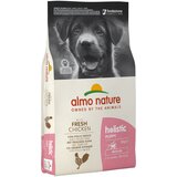 Holistic Almo Medium Puppy piščanec & riž - Varčno pakiranje: 2 x 12 kg Cene