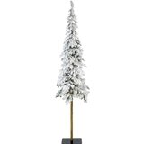 XMAS božična jelka 210 cm Cene