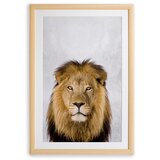 Surdic Stenska slika v okvirju Lion, 30 x 40 cm | Shoptok.si