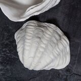 Mette Ditmer Denmark Dekorativni pladenj iz poliresina 24x19 cm Shell – | Shoptok.si