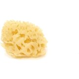 Cose della Natura Izbjeljena Honeycomb-spužva - 4-5 g | shoptok.hr