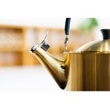 Vialli Design Grelnik za vodo iz nerjavečega jekla v zlati barvi 1,5 l Diamante – | Shoptok.si