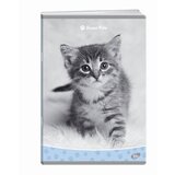 Elisa zvezek Sweet Pets, A4, mali karo | Shoptok.si