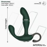 INTOYOU Vibracijski stimulator prostate Greeny (R900346) | Shoptok.si
