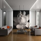  Tapeta - Lotus flower 350x270 Cijene