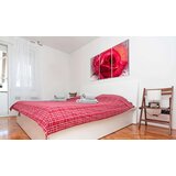  Slika - Lady Rose - triptych 60x40 | shoptok.hr