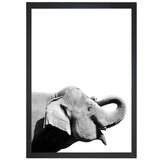 Tablo Center Slika Elephant, 24 x 29 cm Cene