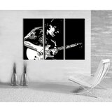  Ročno izdelana slika POP Art Santana 3-delna (POP ART slike) Cene
