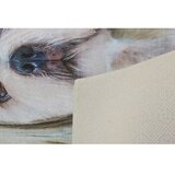 Conceptum Hypnose tepih (80 x 150) KHMFESTO008KECE | ePonuda.com