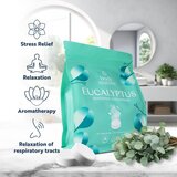Body Restore Eucalyptus & Mint tablete za prho 15 kos | Shoptok.si